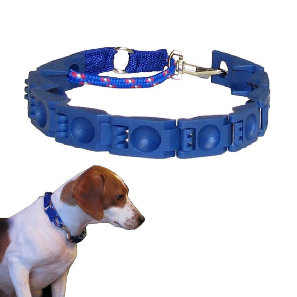 ⁦طوق الكلاب التعليمي Command collar⁩ - الصورة ⁦4⁩