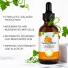 ⁦• PUMPKIN SEED OIL⁩ - الصورة ⁦2⁩