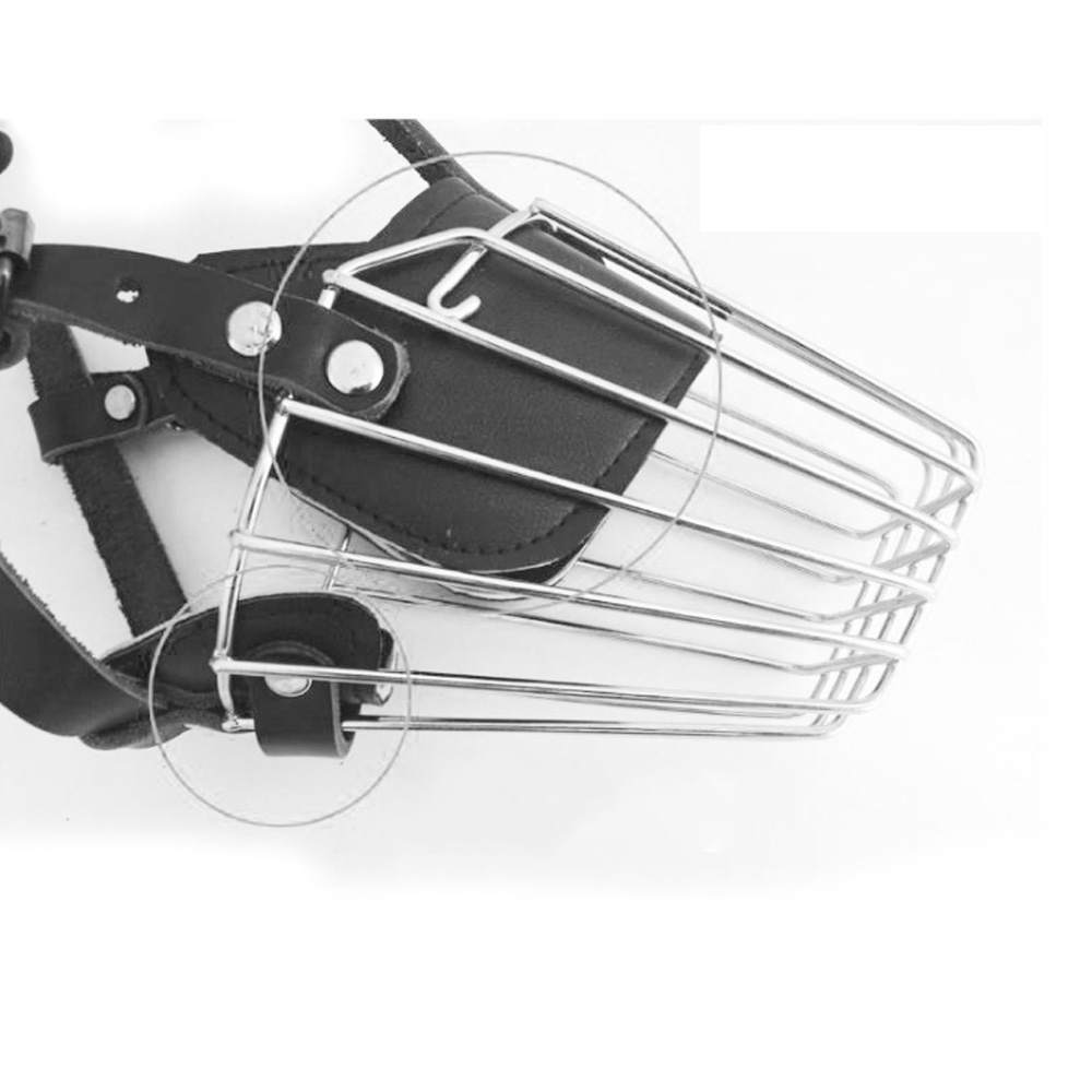 ماسك تمشية الكلاب - الصورة 6