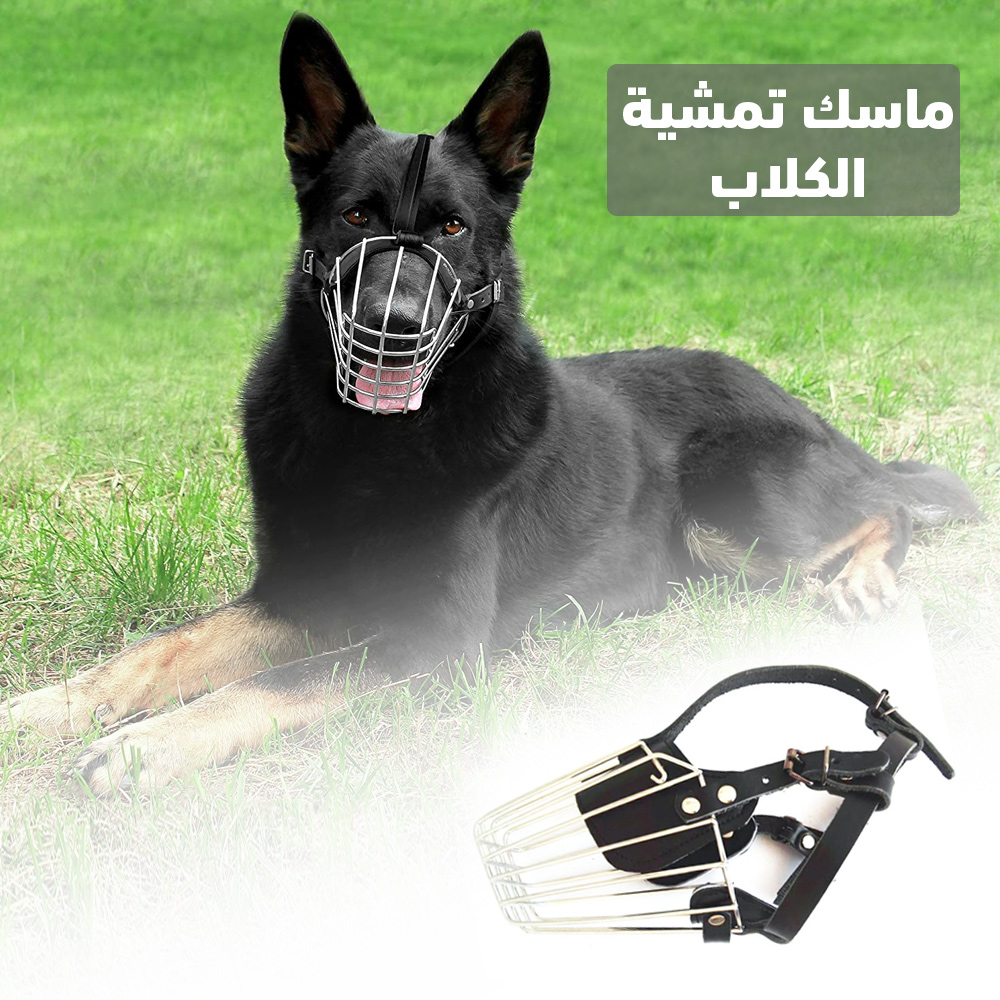 ماسك تمشية الكلاب