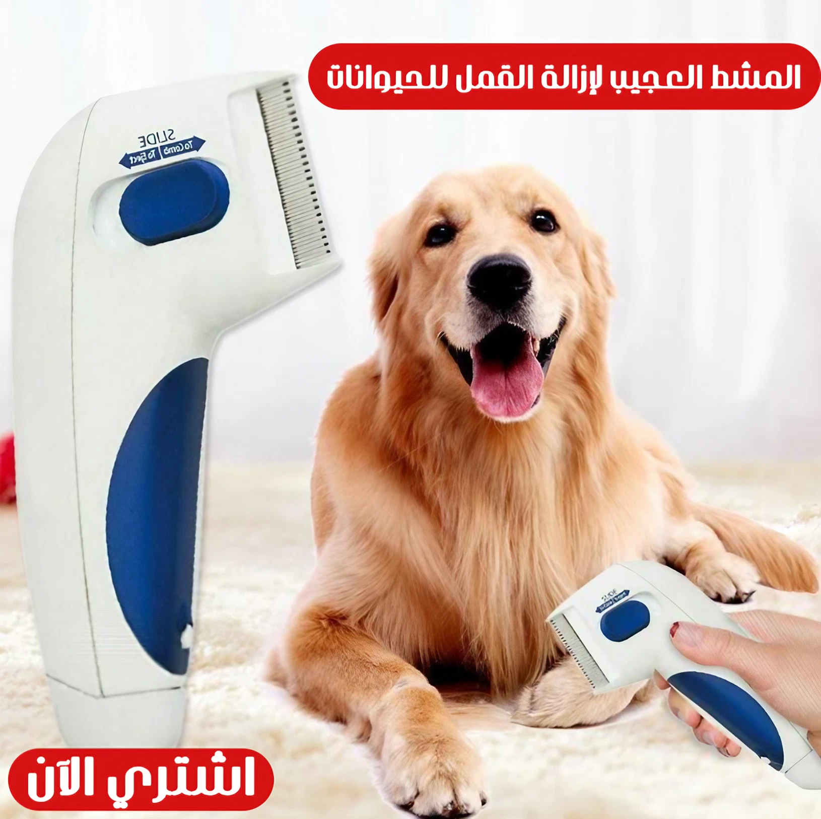 المشط العجيب لإزالة القمل للحيوانات - الصورة 4