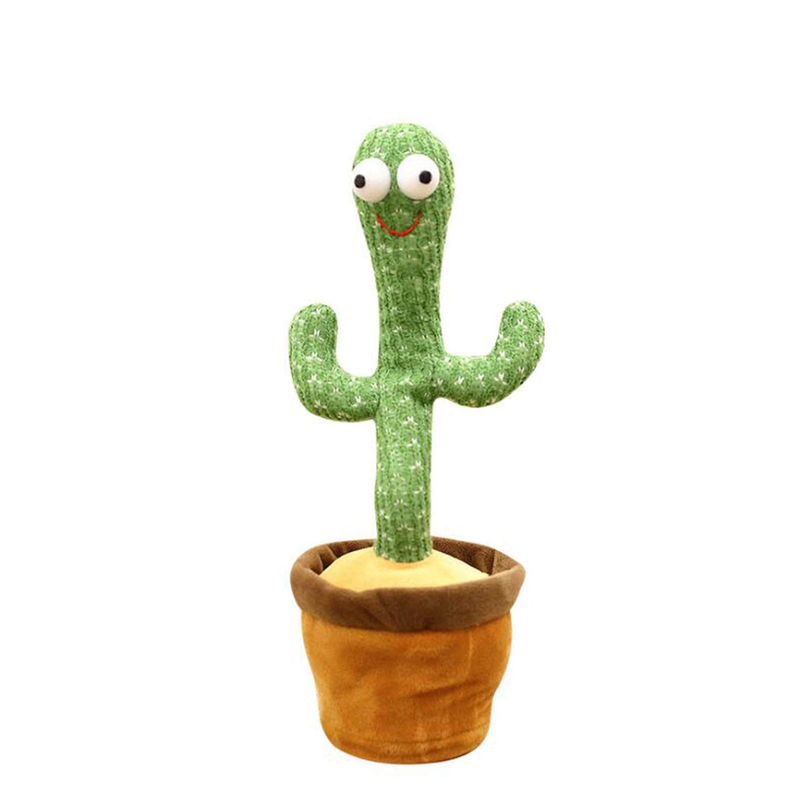 الصبارة الراقصة - الصورة 4