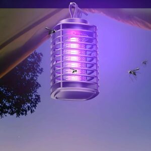 صاعق الناموس الترند