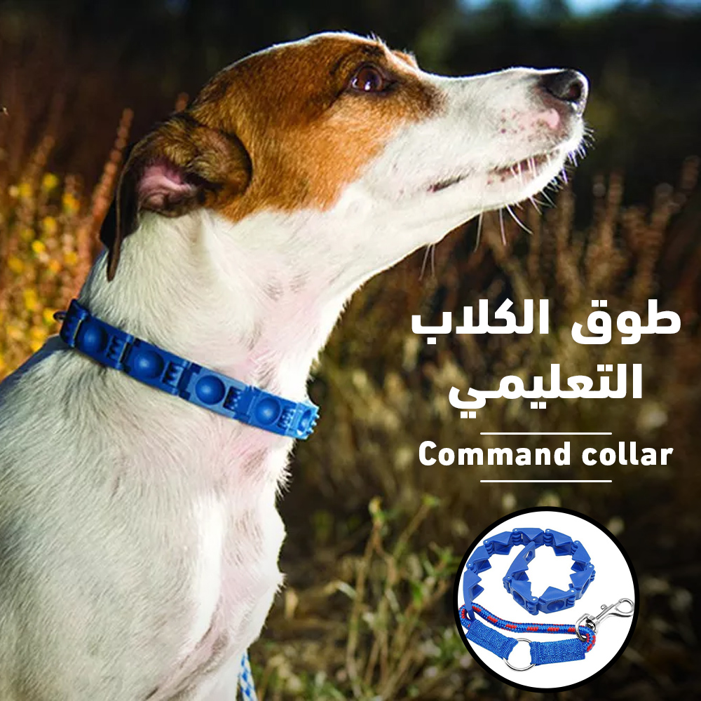 طوق الكلاب التعليمي Command collar - الصورة 7