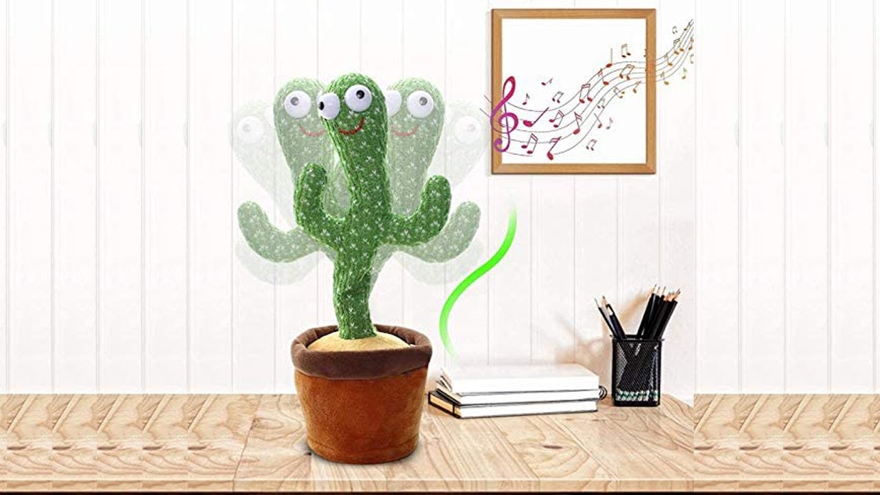 الصبارة الراقصة - الصورة 2