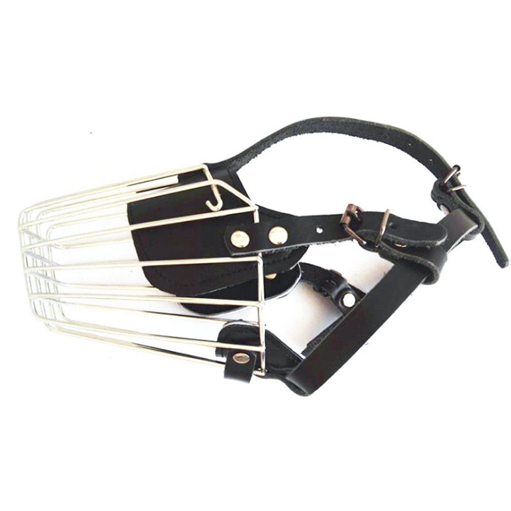 ماسك تمشية الكلاب - الصورة 5