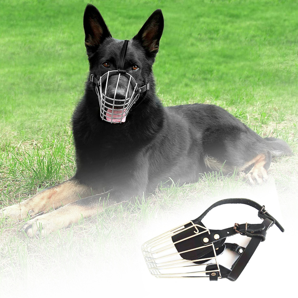 ماسك تمشية الكلاب - الصورة 3