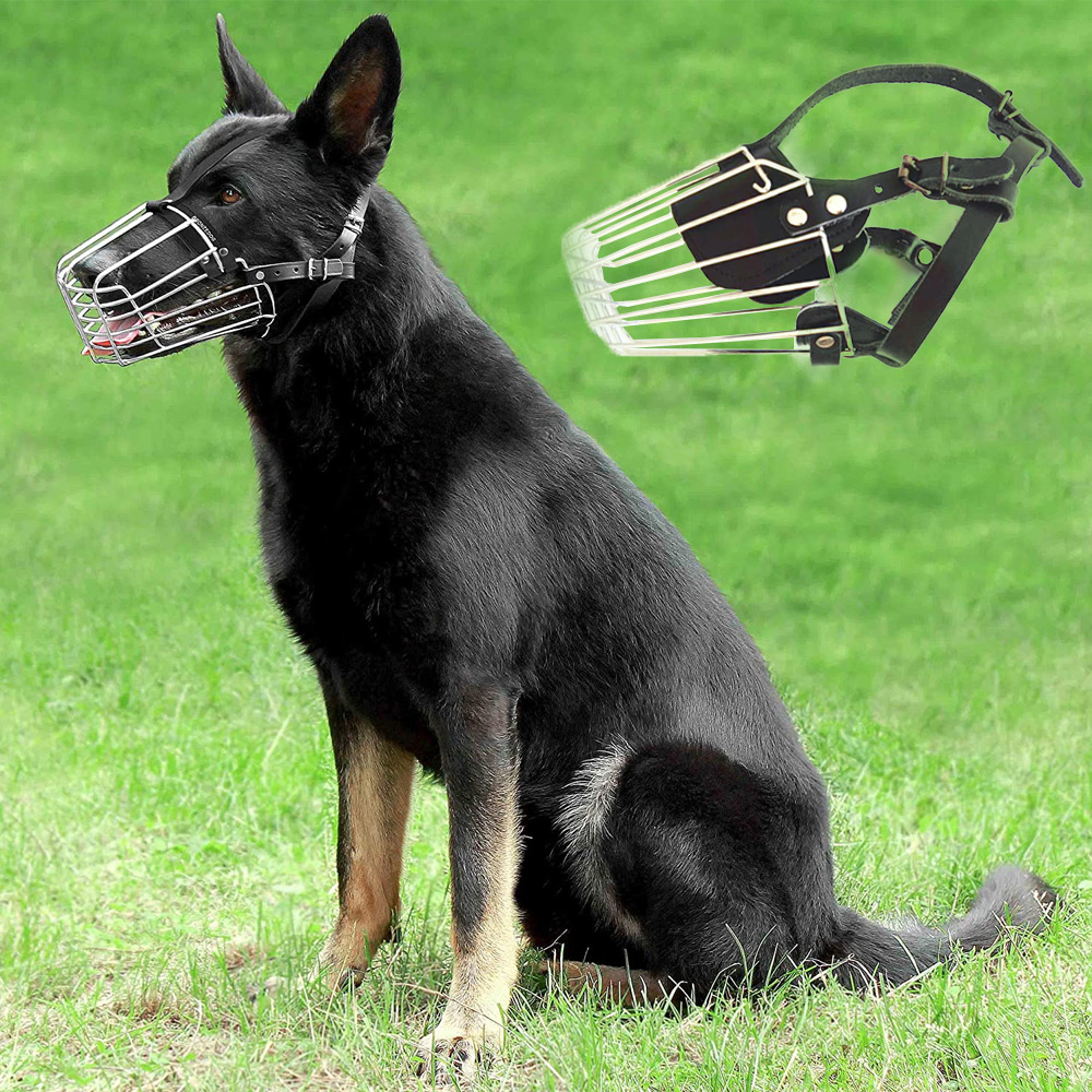 ماسك تمشية الكلاب - الصورة 2