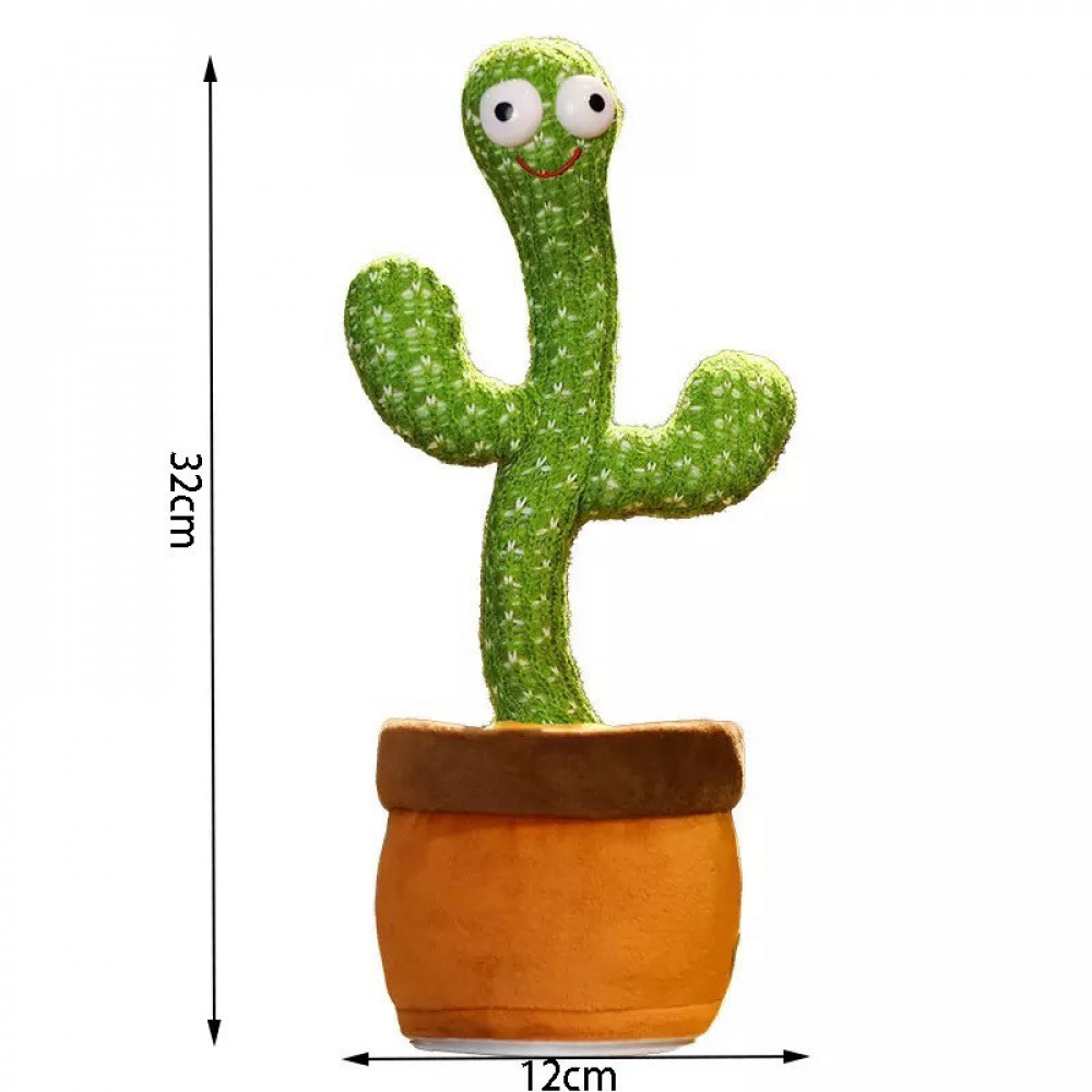 الصبارة الراقصة - الصورة 3