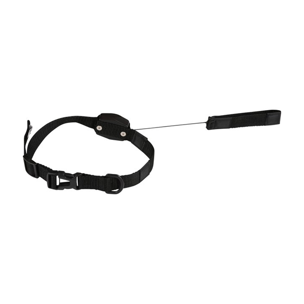 طوق الكلب المغناطيسي - الصورة 4